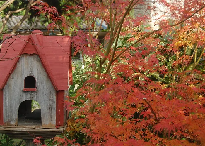 Des Clots Bed & Breakfast 3*