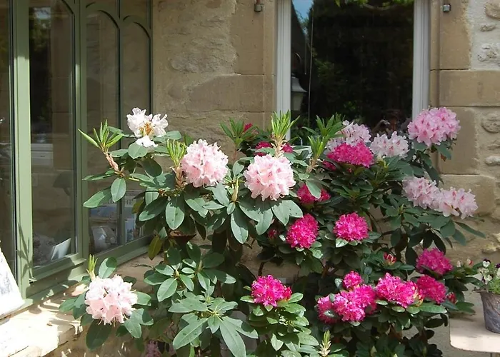 Bed & Breakfast Des Clots 3*